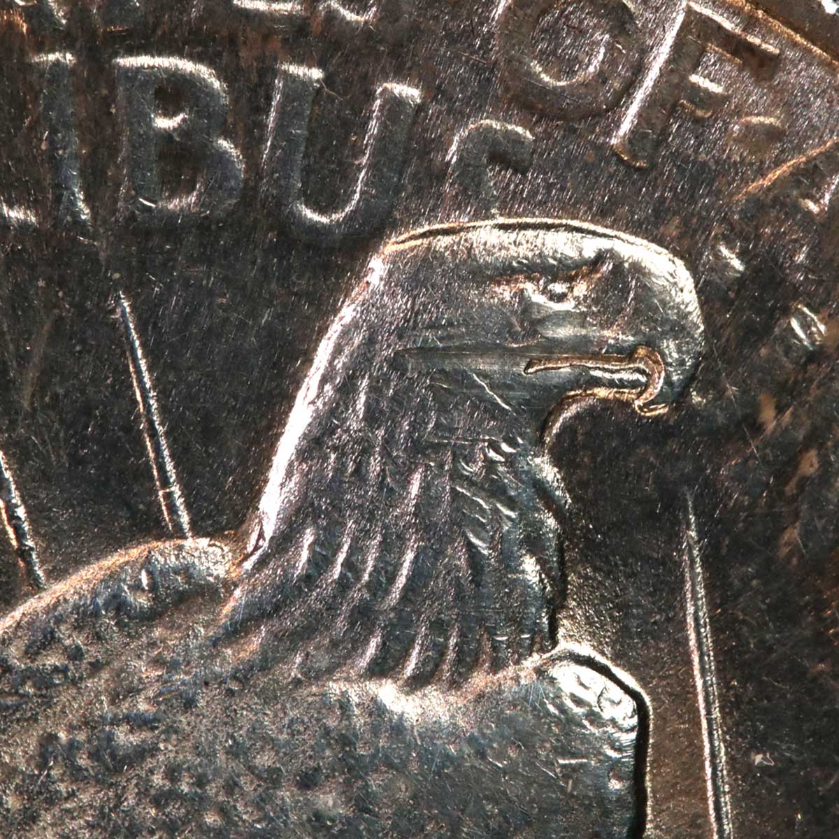 1924-Peace-Dollar-Overpolish?